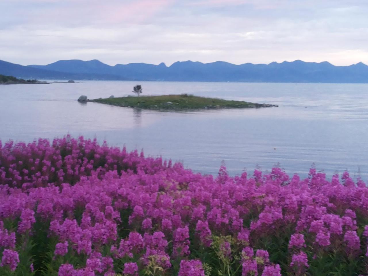 Prima Lofoten Myrland Exteriér fotografie