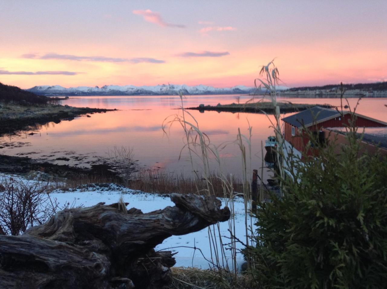 Prima Lofoten Myrland Exteriér fotografie