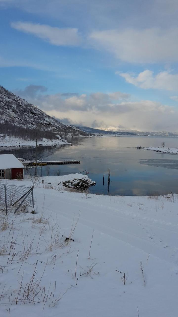 Prima Lofoten Myrland Exteriér fotografie
